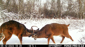 Aufnahme der FORCE-PRO-S 2.0 Kamera